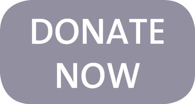 RESIZED Donate Now Button