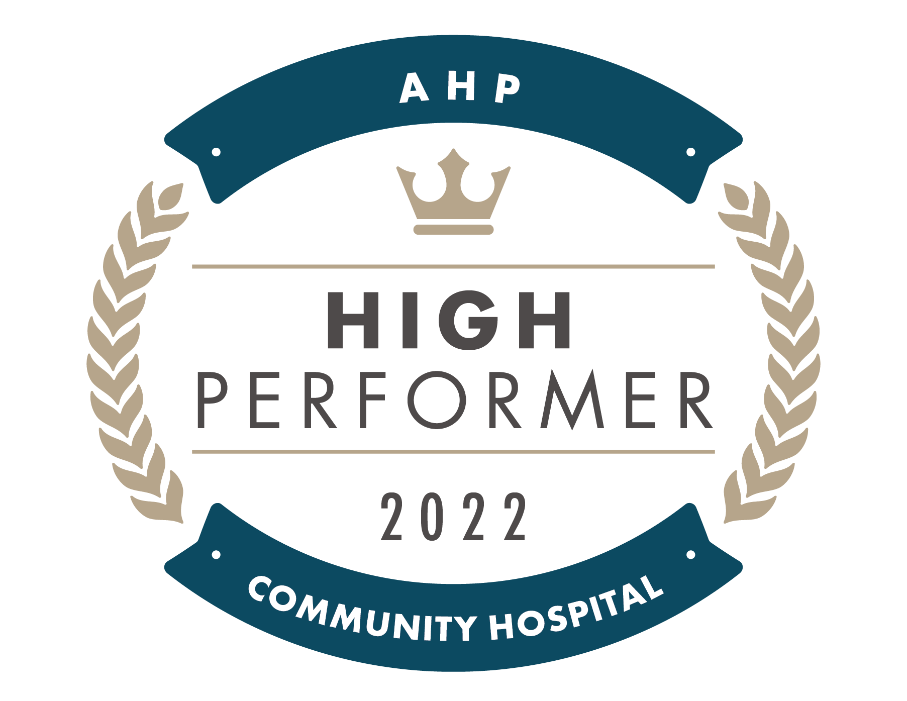 AHP High Performer award