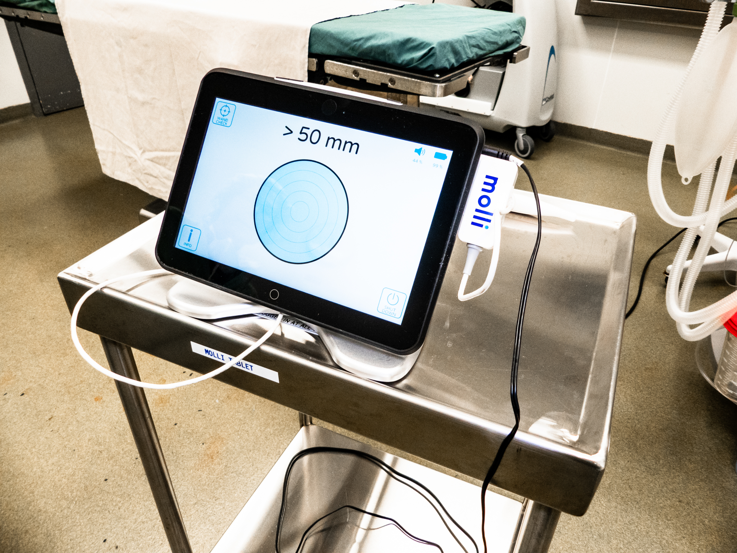 Molli Tablet