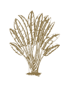 WebPalm_Visions_2026 (1) Visions gala palm emblem